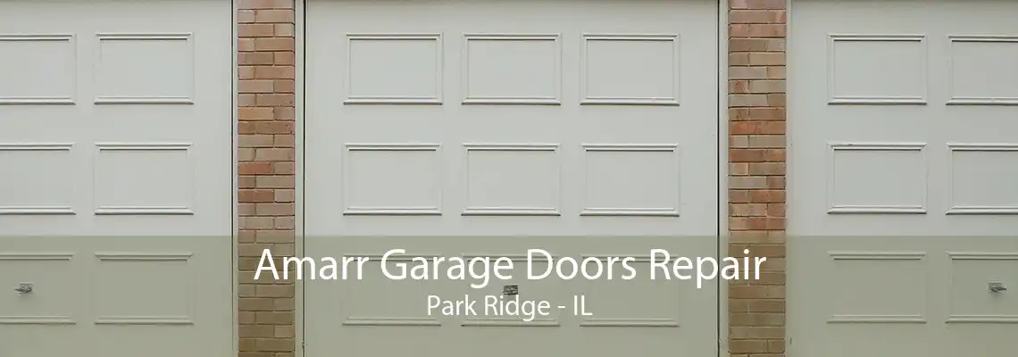 Amarr Garage Doors Repair Park Ridge - IL