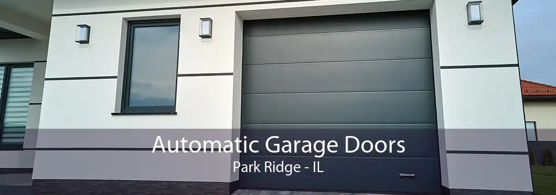 Automatic Garage Doors Park Ridge - IL