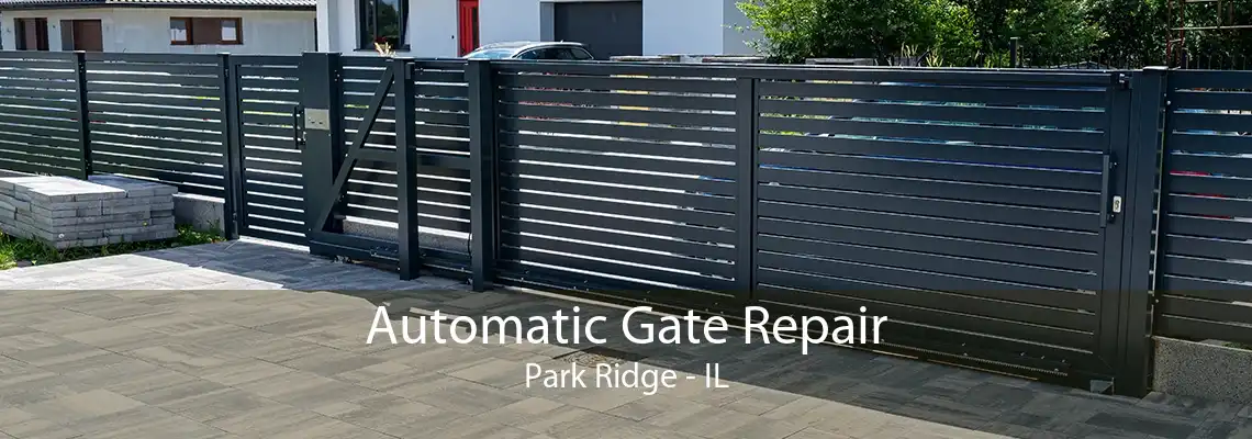 Automatic Gate Repair Park Ridge - IL