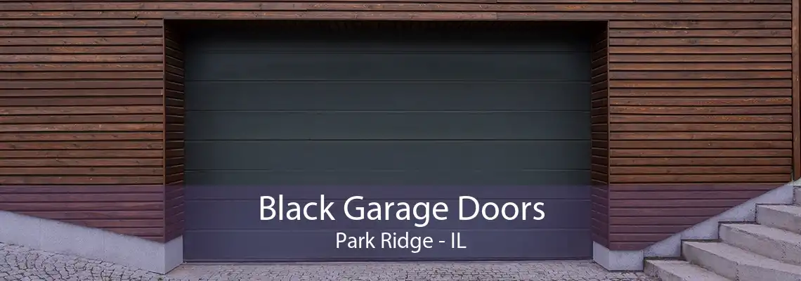 Black Garage Doors Park Ridge - IL