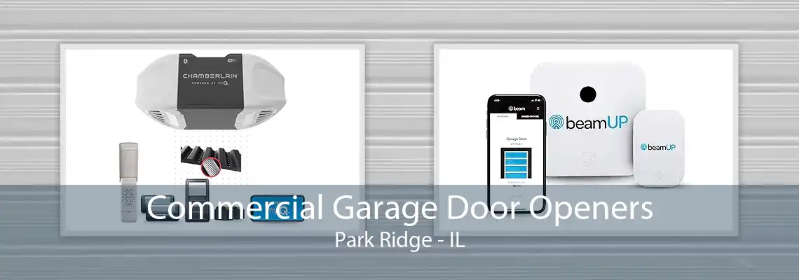 Commercial Garage Door Openers Park Ridge - IL