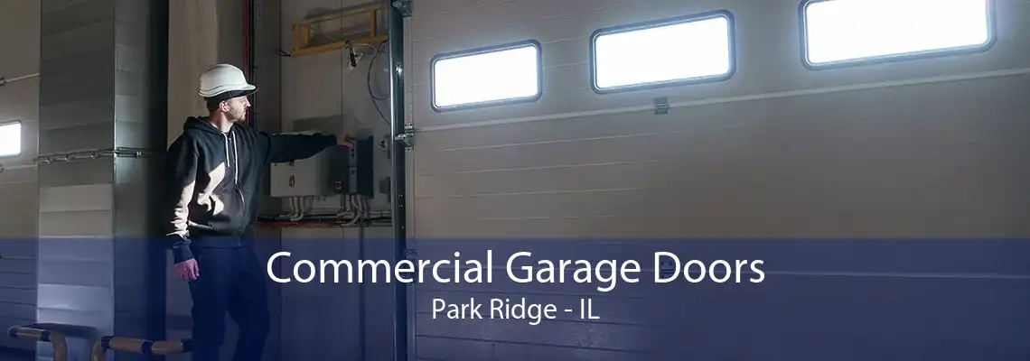 Commercial Garage Doors Park Ridge - IL