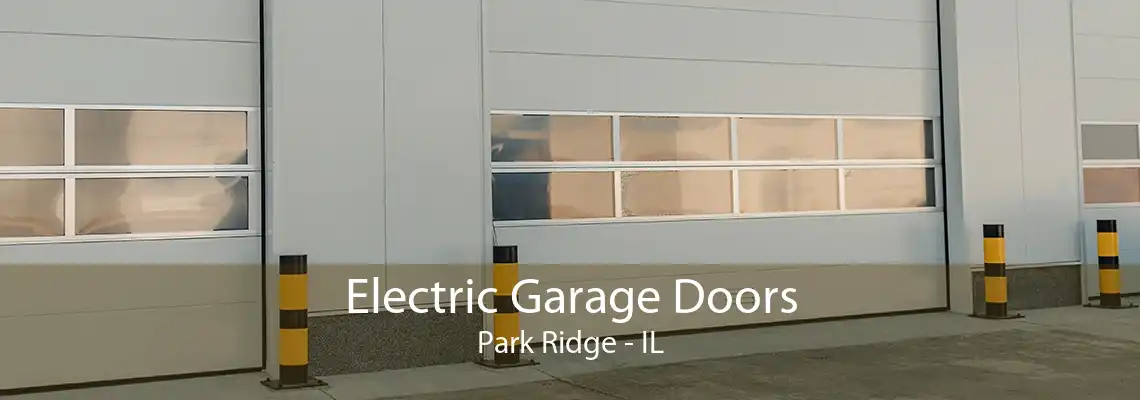 Electric Garage Doors Park Ridge - IL