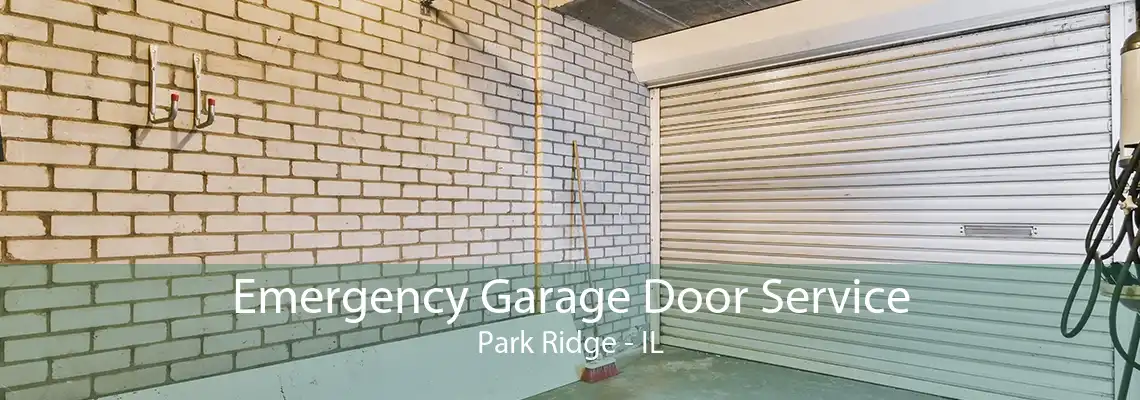 Emergency Garage Door Service Park Ridge - IL