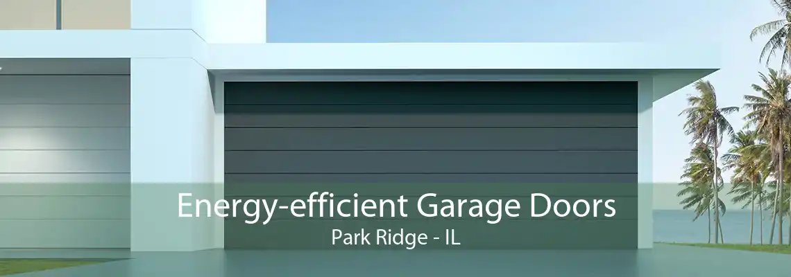 Energy-efficient Garage Doors Park Ridge - IL