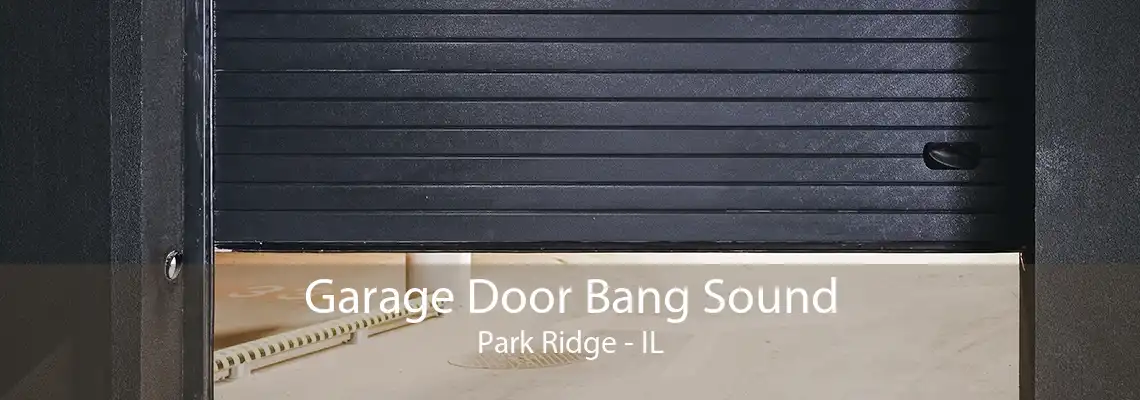 Garage Door Bang Sound Park Ridge - IL