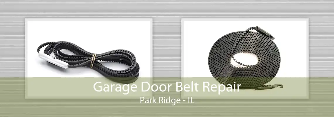 Garage Door Belt Repair Park Ridge - IL