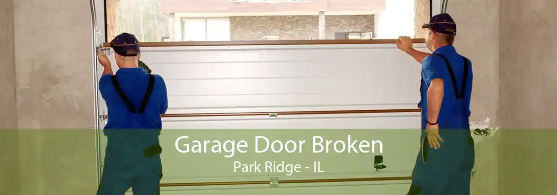 Garage Door Broken Park Ridge - IL