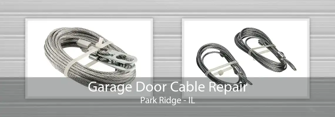 Garage Door Cable Repair Park Ridge - IL