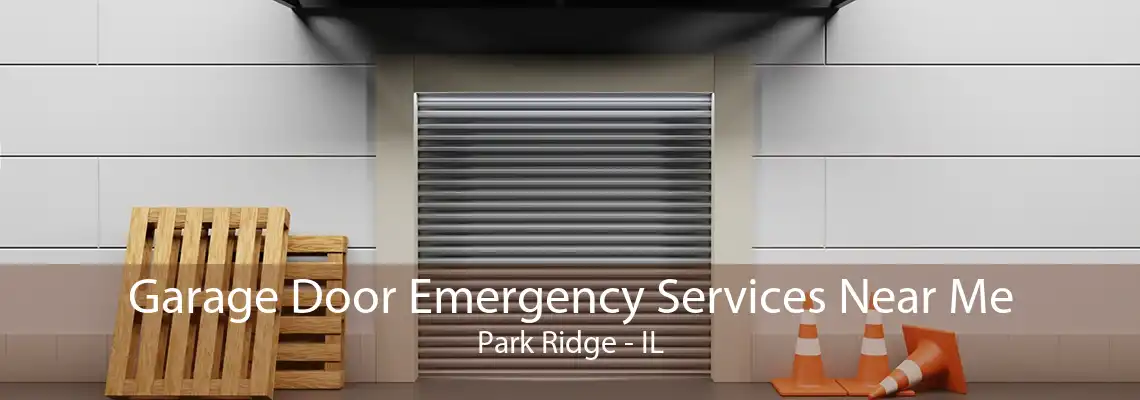 Garage Door Emergency Services Near Me Park Ridge - IL