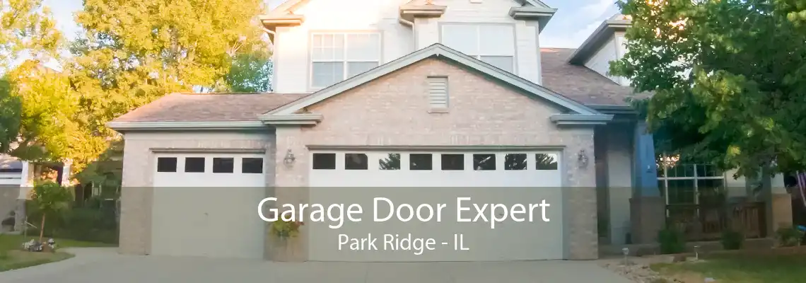 Garage Door Expert Park Ridge - IL