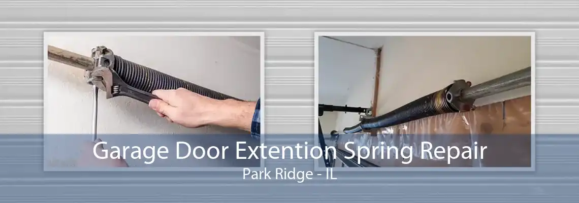 Garage Door Extention Spring Repair Park Ridge - IL