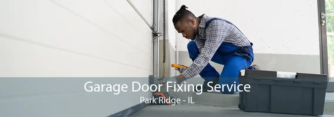 Garage Door Fixing Service Park Ridge - IL