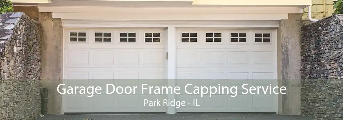 Garage Door Frame Capping Service Park Ridge - IL