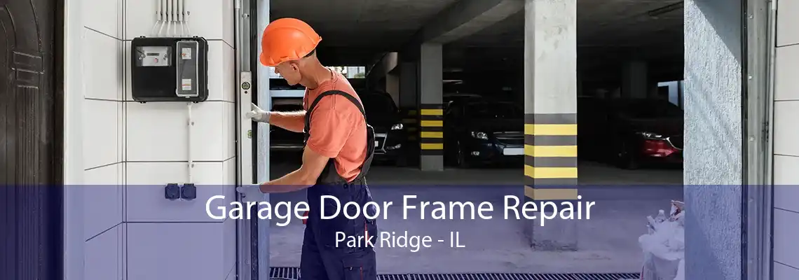 Garage Door Frame Repair Park Ridge - IL