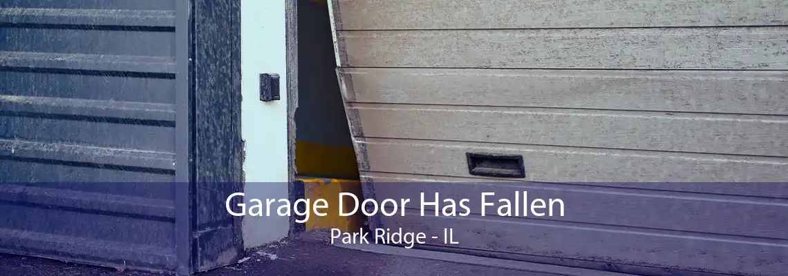 Garage Door Has Fallen Park Ridge - IL