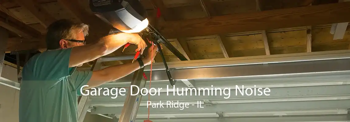 Garage Door Humming Noise Park Ridge - IL