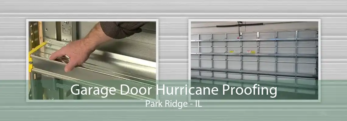 Garage Door Hurricane Proofing Park Ridge - IL