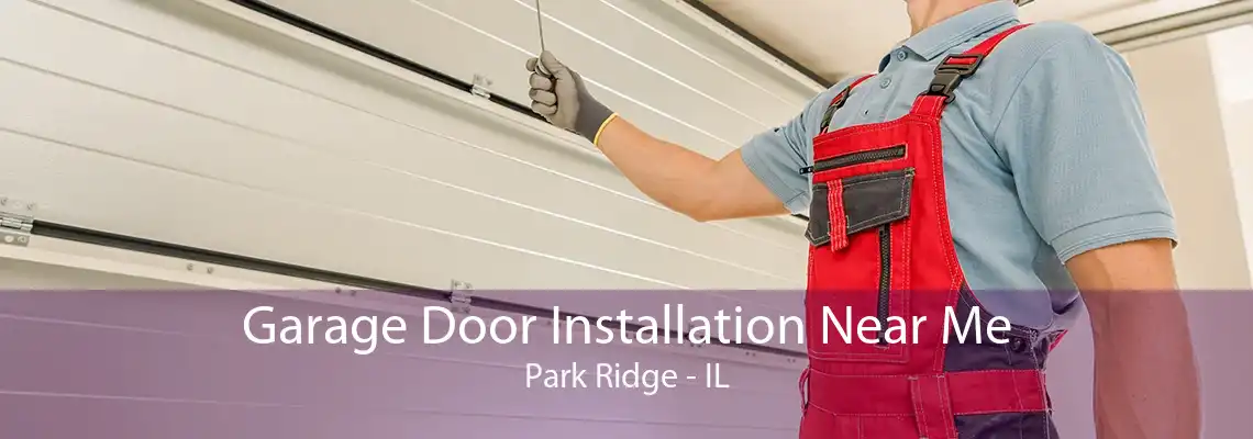 Garage Door Installation Near Me Park Ridge - IL