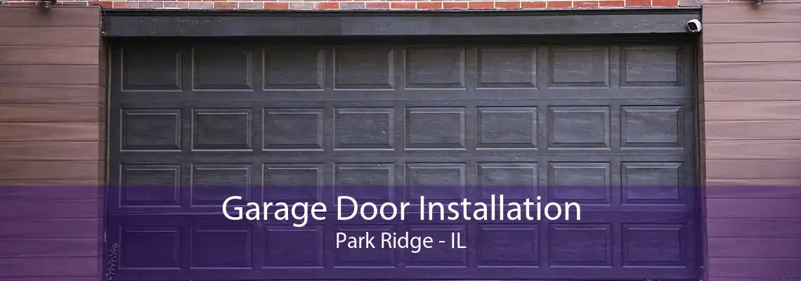 Garage Door Installation Park Ridge - IL