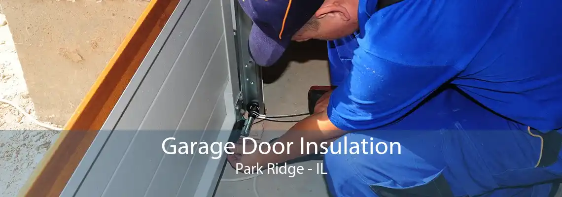 Garage Door Insulation Park Ridge - IL