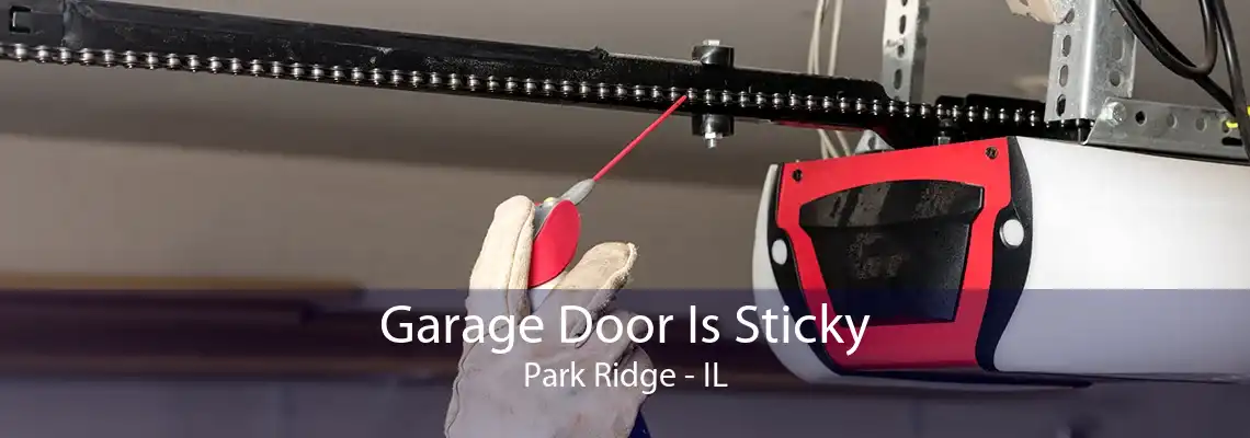 Garage Door Is Sticky Park Ridge - IL