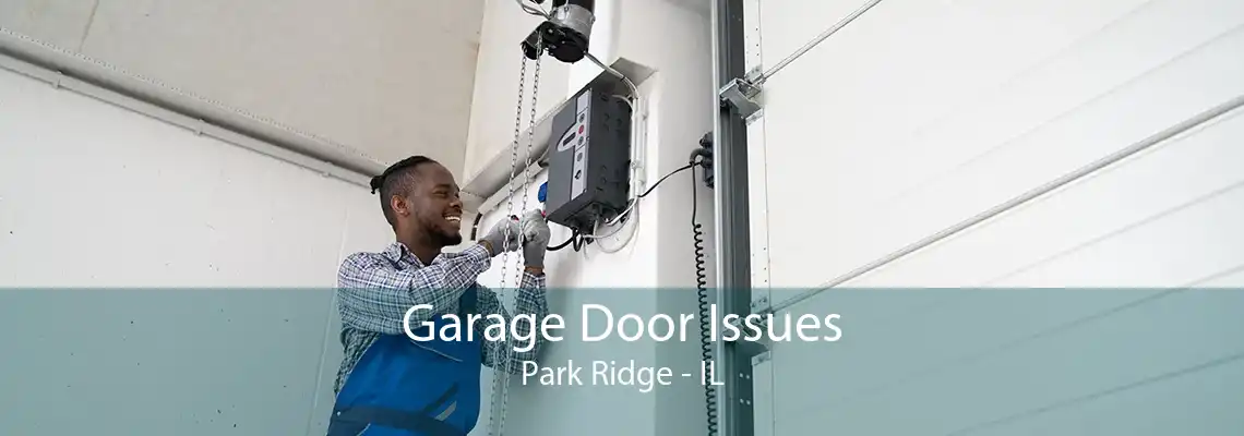 Garage Door Issues Park Ridge - IL