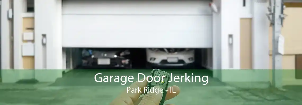 Garage Door Jerking Park Ridge - IL