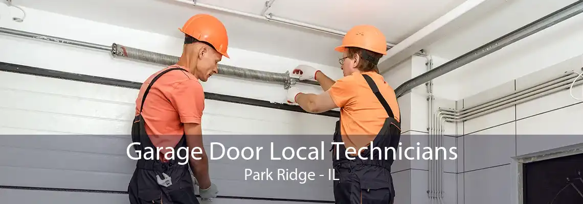 Garage Door Local Technicians Park Ridge - IL