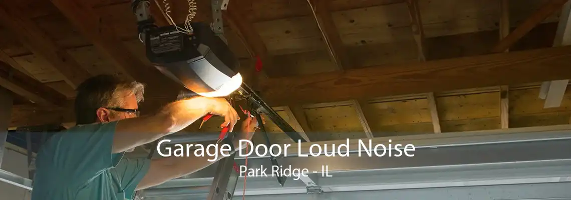 Garage Door Loud Noise Park Ridge - IL