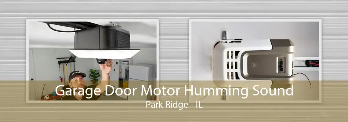 Garage Door Motor Humming Sound Park Ridge - IL