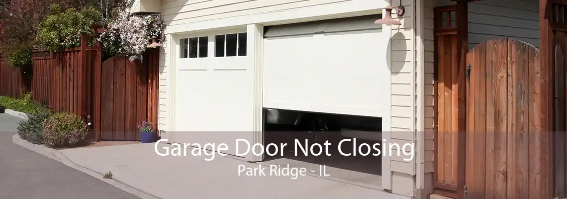 Garage Door Not Closing Park Ridge - IL