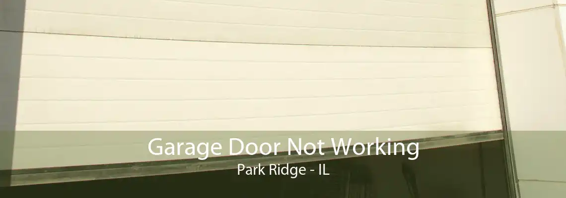 Garage Door Not Working Park Ridge - IL