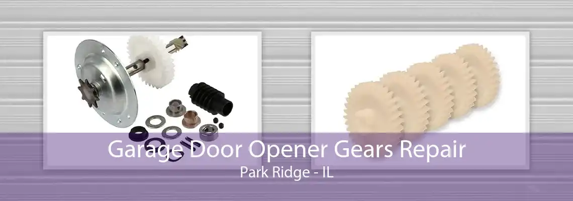 Garage Door Opener Gears Repair Park Ridge - IL