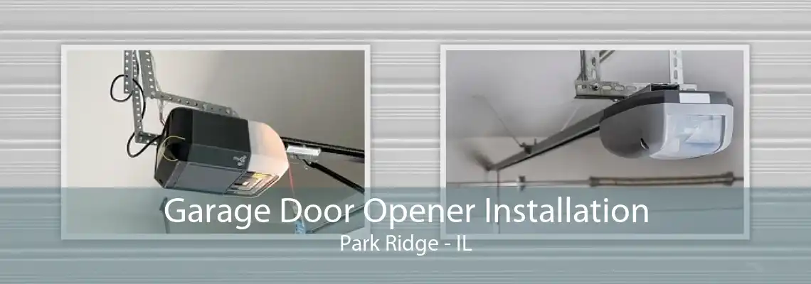 Garage Door Opener Installation Park Ridge - IL