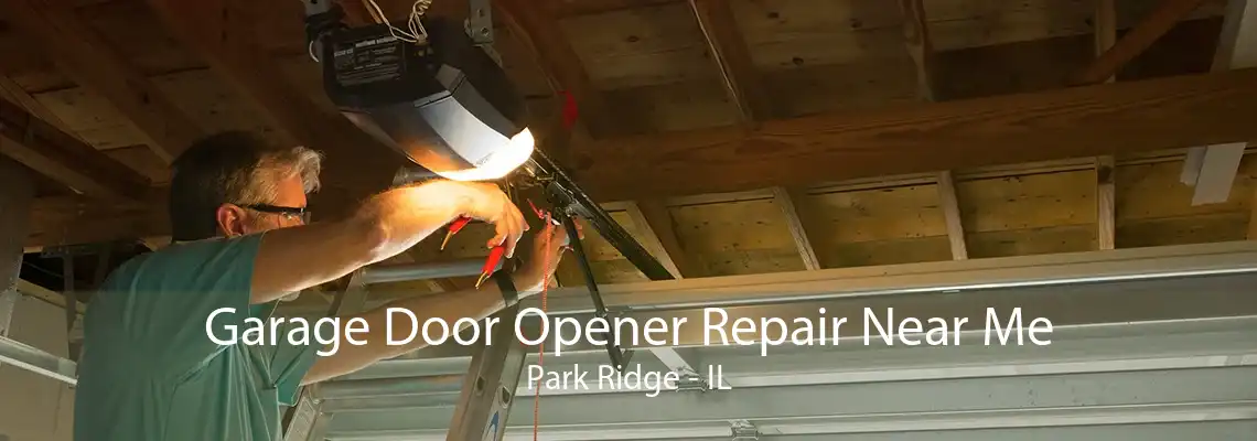 Garage Door Opener Repair Near Me Park Ridge - IL