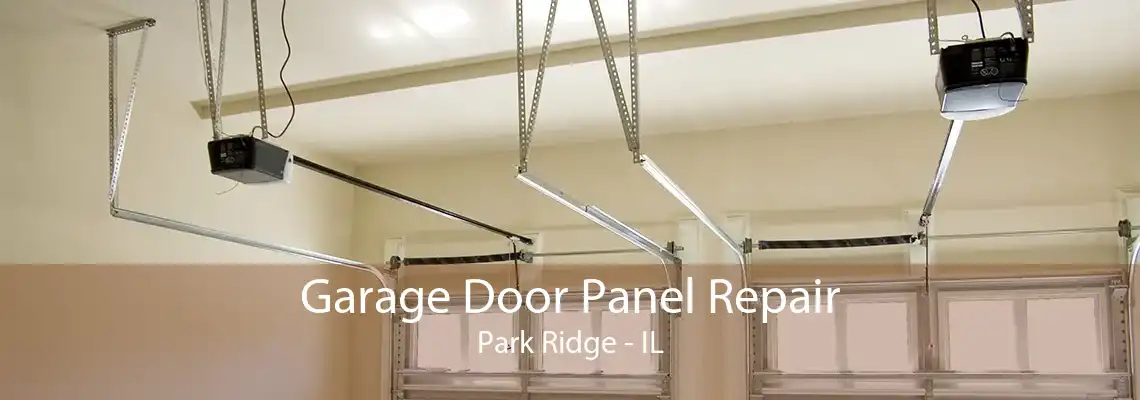 Garage Door Panel Repair Park Ridge - IL