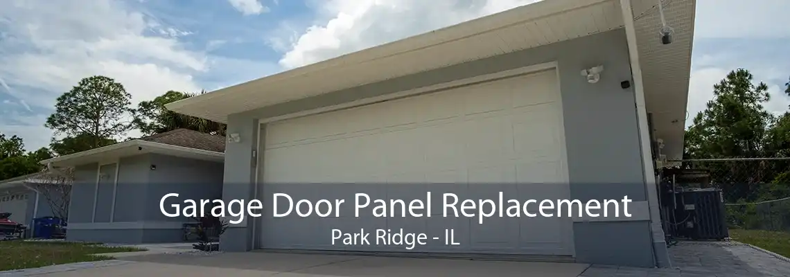 Garage Door Panel Replacement Park Ridge - IL