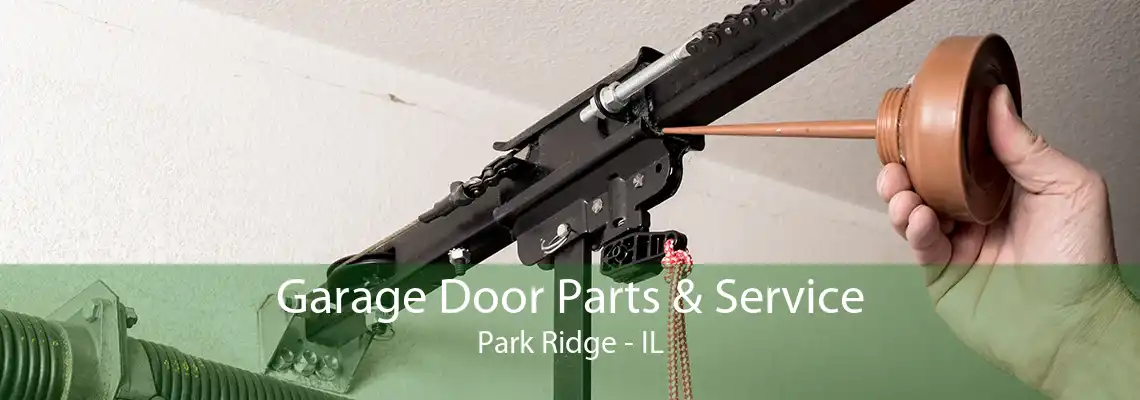 Garage Door Parts & Service Park Ridge - IL