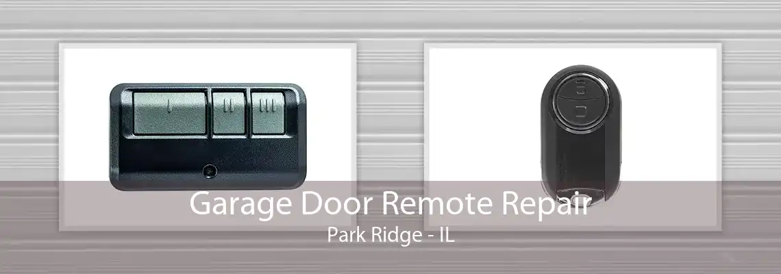 Garage Door Remote Repair Park Ridge - IL