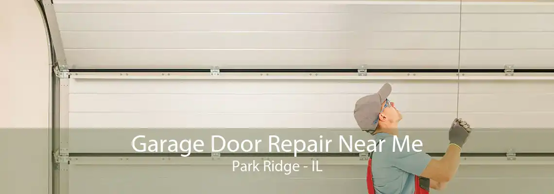 Garage Door Repair Near Me Park Ridge - IL