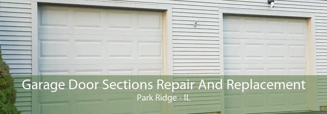 Garage Door Sections Repair And Replacement Park Ridge - IL