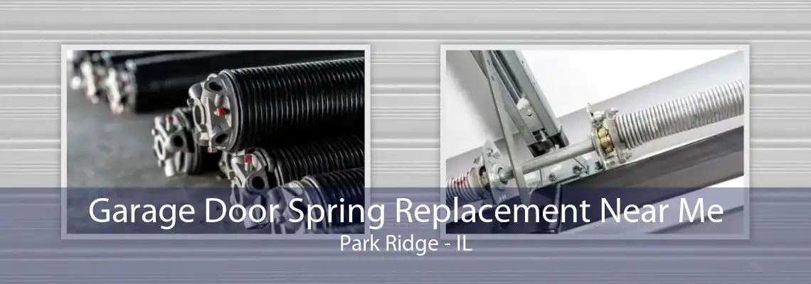 Garage Door Spring Replacement Near Me Park Ridge - IL