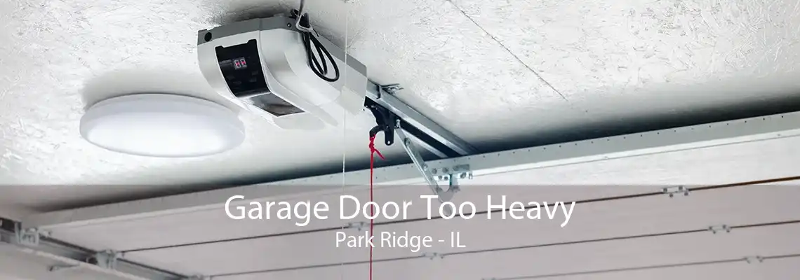 Garage Door Too Heavy Park Ridge - IL