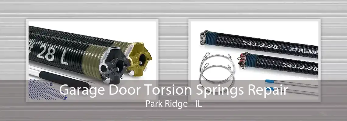 Garage Door Torsion Springs Repair Park Ridge - IL