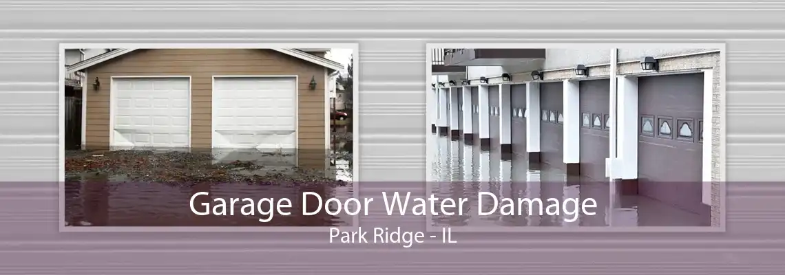 Garage Door Water Damage Park Ridge - IL