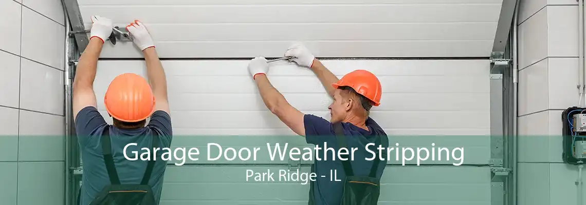 Garage Door Weather Stripping Park Ridge - IL