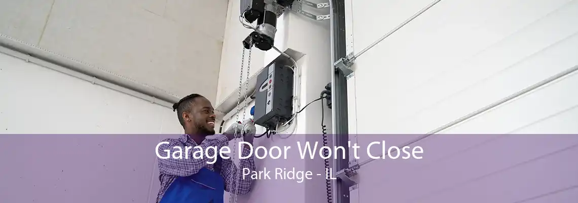 Garage Door Won't Close Park Ridge - IL