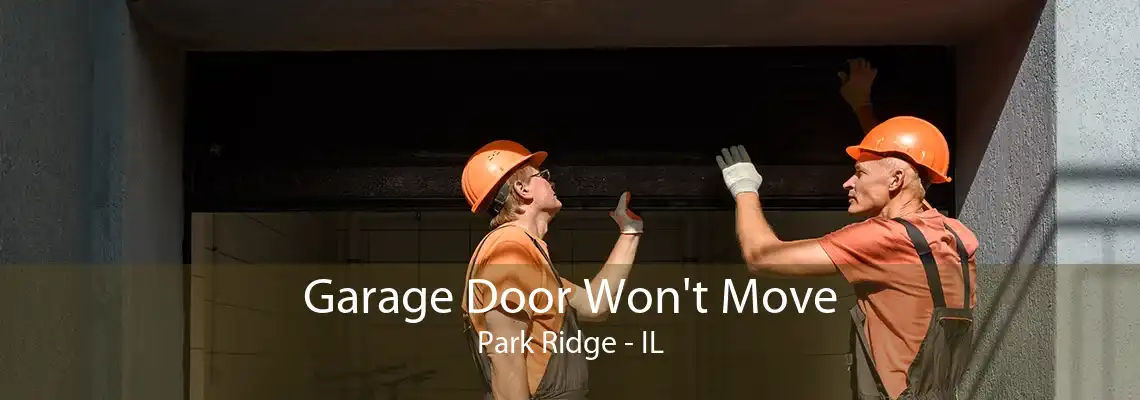 Garage Door Won't Move Park Ridge - IL