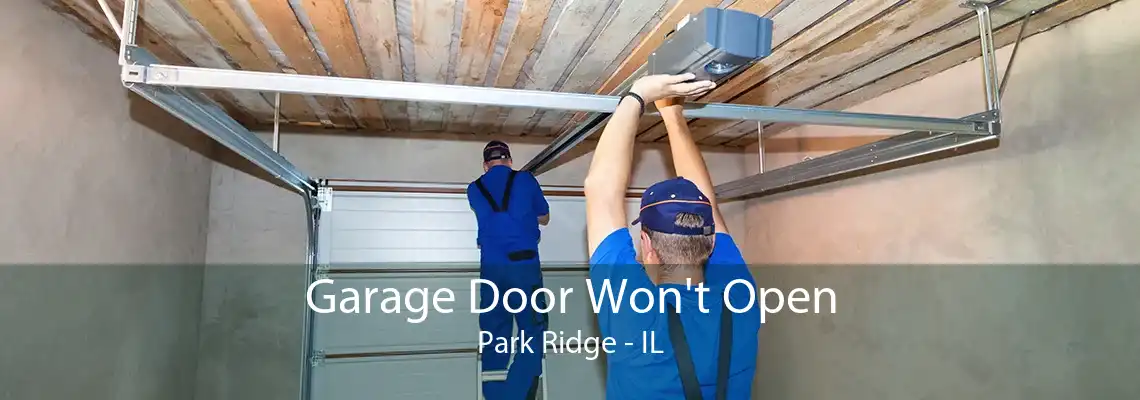 Garage Door Won't Open Park Ridge - IL